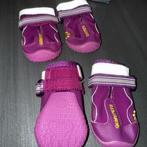 Purple Dog Shoes